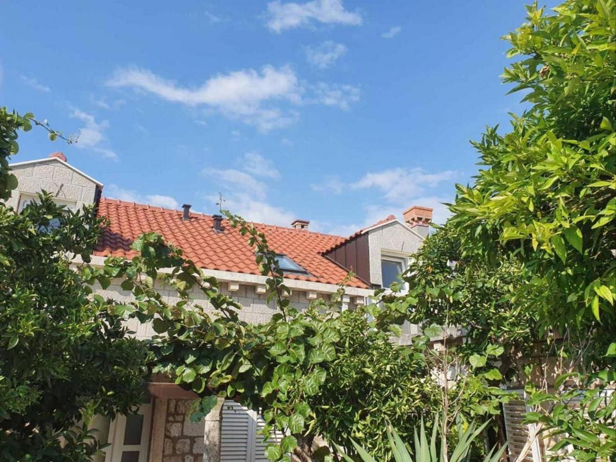 Dubrovnik Tirena Apartamento Exterior foto